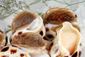 花螺怎么清洗才干净,花蛤怎么处理干净