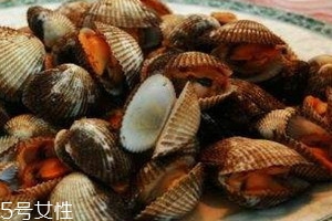 毛蚶可以生吃吗,毛蚶能吃吗