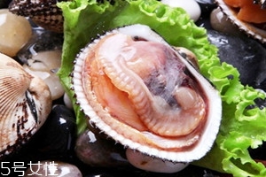 毛蚶不能和什么一起吃香哈,毛蚶子不能和什么一起吃