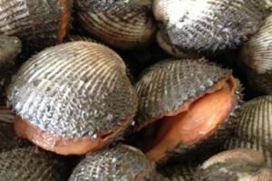 处理建议怎么写,墙面裂口怎么处理建议