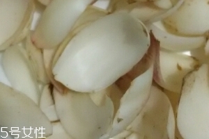 百合和藕可以一起炖吗,排骨莲藕可以放百合吗