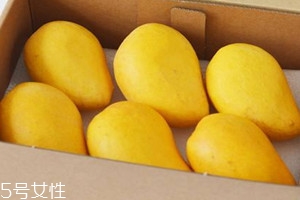 台农芒果几月份上市,台农芒果什么时候成熟