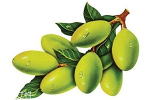 青橄榄怎么吃,青榄怎么做好吃