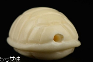 象牙果是什么东西值钱吗,象牙果是什么东西值钱吗?象牙果对人有什么好处