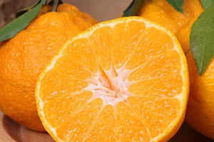 丑橘上火吗还是下火,不知火舞丑橘上火吗