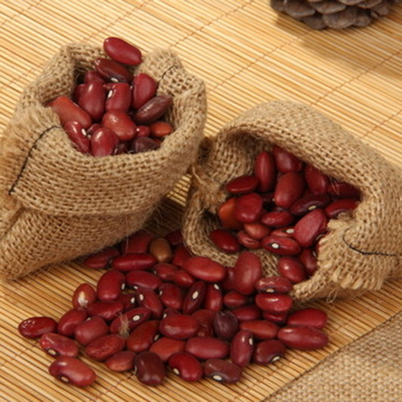 红芸豆的功效和作用,红芸豆的功效和作用和禁忌 红芸豆的功效和作用,红芸豆的功效和作用和禁忌
