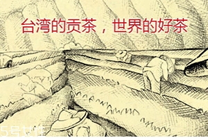 四云奶盖贡茶怎么样,贡茶和四云奶盖贡茶区别