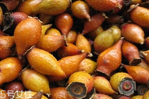 金樱子可以泡水喝吗?有什么功效,金樱子可以泡水喝吗要去籽吗 金樱子可以泡水喝吗?有什么功效,金樱子可以泡水喝吗要去籽吗