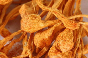 虫草花是不是发物,虫草花是发物吗? 虫草花是不是发物,虫草花是发物吗?