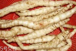 地笋怎么种植,芦笋怎么种植技术