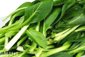 什么是鸡毛菜,鸡毛菜是什么菜图片