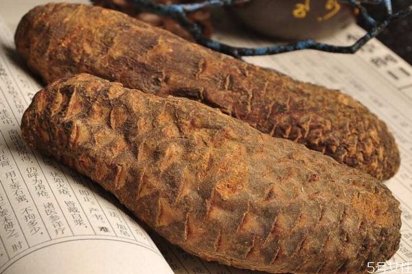 肉苁蓉可以泡茶喝吗,苁蓉可以泡水喝吗