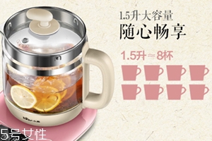 煲中药用养生壶可以吗,多功能养生壶可以煎中药吗