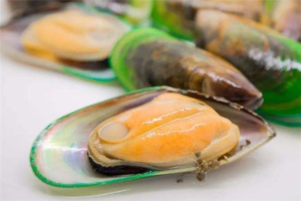 青口贝的简单做法,青口贝的做法要怎么处理