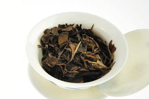 白茶什么时候开始压饼的,白茶压饼工艺是从哪一年开始的