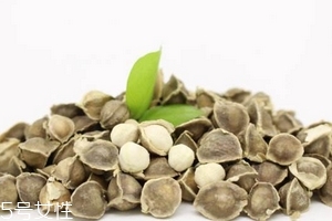 辣木籽是药材吗,辣木籽是药材吗,怎样食用