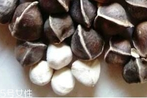 辣木籽味道代表什么,辣木籽的味道