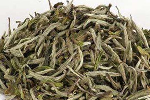 白茶在哪里可以买到正宗的,什么牌子的白茶最好