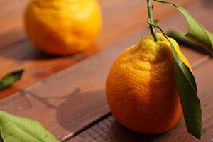 丑柑的营养价值及功效,丑柑的营养价值表