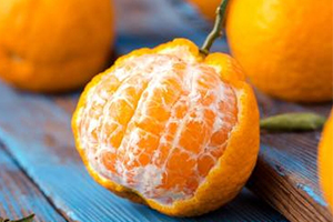 丑八怪是凉性还是热性,丑八怪性温还是性寒