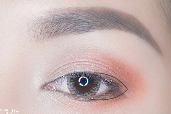 调理露和柔肤水哪个好(柔肤水和调理水的区别)