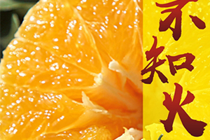 丑八怪和不知火有什么区别,不知火和丑八怪一样吗