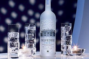 正宗伏特加多少钱一瓶,伏特加多少钱一瓶