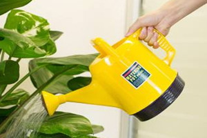 过期的红葡萄酒可以浇花吗,自己酿的葡萄酒可以浇花吗 过期的红葡萄酒可以浇花吗,自己酿的葡萄酒可以浇花吗