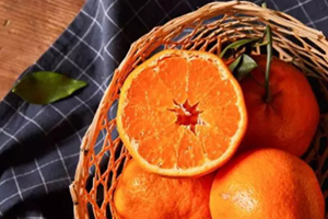 丑橘跟耙耙柑一样吗,耙耙柑和丑橘的区别