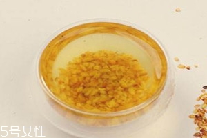 荞麦可以减肥吗,苦荞茶喝了有什么好处和坏处