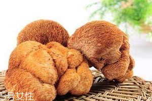 猴头菇变黄了还能吃吗,新鲜猴头菇有点发黄还能吃吗