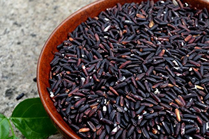 血糯米的功效和作用及营养价值,糯米的功效和作用 血糯米的功效和作用及营养价值,糯米的功效和作用