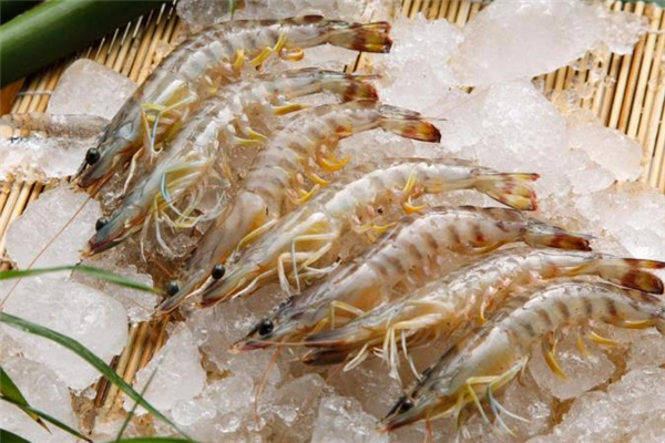 活虾泡酒能壮阳吗,大虾泡白酒能壮阳吗