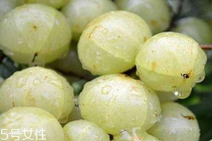 适用简易程序的案件,适用简易程序的条件有哪些