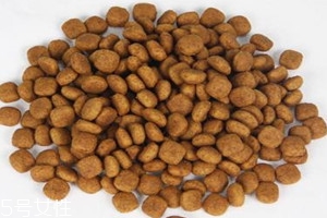 羊奶粉能和狗粮一起喂吗,羊奶粉可以跟狗粮泡在一起给狗吃吗 羊奶粉能和狗粮一起喂吗,羊奶粉可以跟狗粮泡在一起给狗吃吗