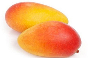 澳芒几月份成熟,海南澳芒的成熟季节