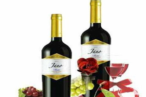 葡萄酒哪个牌子好喝又便宜,红酒什么牌子好喝不贵 葡萄酒哪个牌子好喝又便宜,红酒什么牌子好喝不贵