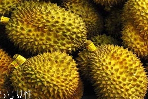 越南榴莲现在的价格是多少钱一斤,越南榴莲价格 越南榴莲现在的价格是多少钱一斤,越南榴莲价格