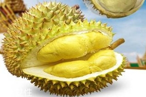 甲仑榴莲怎么看生熟,甲仑榴莲如何辨认是否成熟