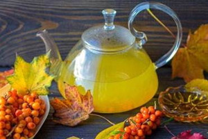 沙棘啥时候喝比较好,喝沙棘茶的最佳时间 沙棘啥时候喝比较好,喝沙棘茶的最佳时间