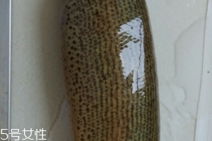 泥鳅是鲶鱼吗,泥鳅和鲶鱼是一种鱼吗