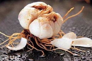 新鲜百合怎么吃法,新鲜百合怎么吃好吃效果好