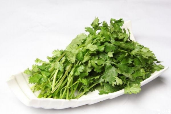 吃了香菜想吐是什么原因,吃香菜会上火吗?