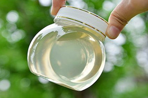 洋槐蜜是热性还是凉性的,洋槐蜂蜜是凉性还是热性 洋槐蜜是热性还是凉性的,洋槐蜂蜜是凉性还是热性