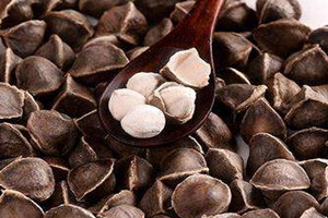 辣木籽什么样的好,辣木籽长什么样