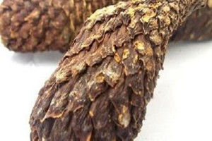 肉苁蓉和什么搭配最好,肉苁蓉的吃法和功效