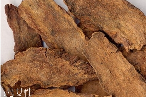 肉苁蓉是热还是寒,肉苁蓉是凉性还是热性的