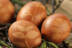 毛尖可以煮茶叶蛋吗,毛尖能煮茶叶蛋吗