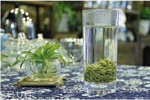 毛尖属于凉性还是热性,毛尖属于什么凉性的吗