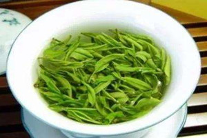 信阳毛尖什么时候喝最好,毛尖适合什么时候喝最好